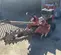 2018 Ditch Witch C12X Trencher