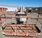 2017 Skyjack SJ82T Boom Lift