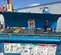 2013 Genie Z-45/25J DC Articulating Boom Lift