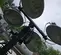2019 Magnum Pro MLT3060MV Portable Light Tower